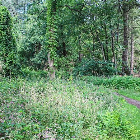 Huiske Oan T Bos Lage Mierde Exterior photo